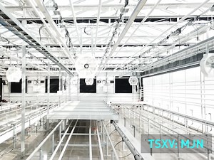 A globally operated producer and distributor of cannabis