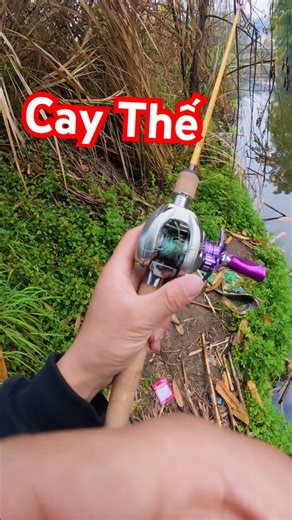 My first time using a baitcasting reel and the result #fishing