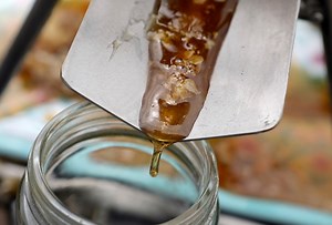 Eating frozen honey: What to know about latest Tik Tok viral trend