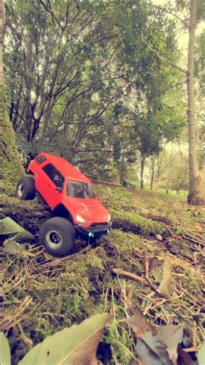 Tiny Crawler vs BIG Roots 🌳🔥. #scx24 #axial