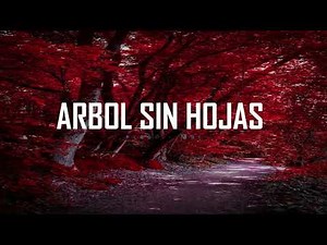 Árbol Sin Hojas- Dread Mar I //LETRA//