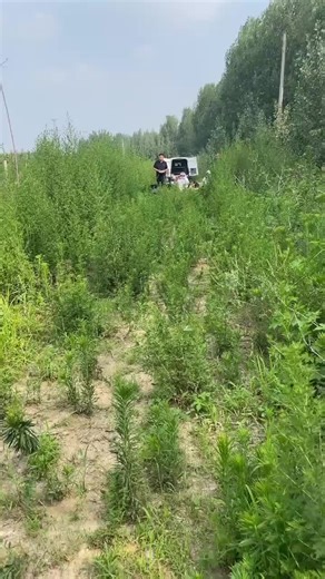 Driverless Robotic Lawn Mower Technology Explained