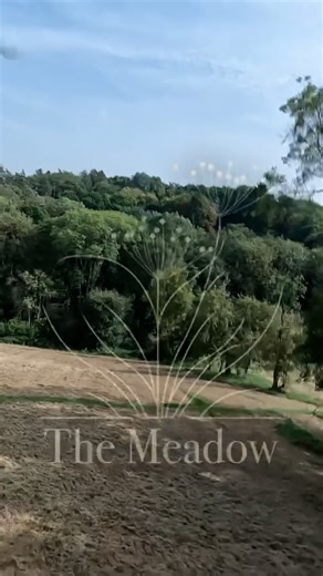 The_Meadows_Vertical_720