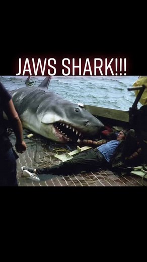 SwagnerHistory on TikTok