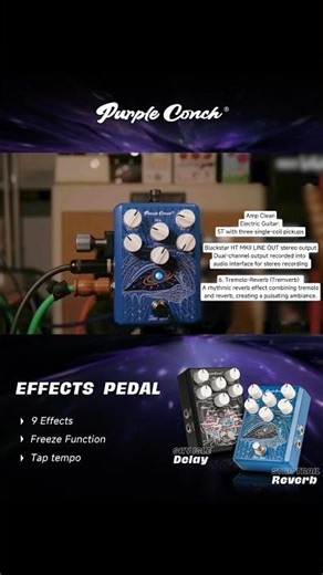 Trem Verb – Reverb infused with tremolo modulation; pulsing #guitar #guitarist