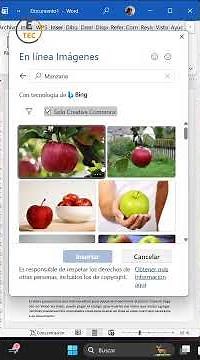 Columns and images in Word: the trick everyone needs #WordTricks
