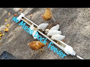 Easy no mess Duck feeder DIY