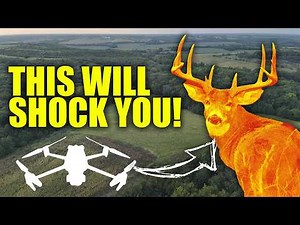 SHOCKING: Where GIANT Bucks Truly Live: Revealed By Thermal Drone!
