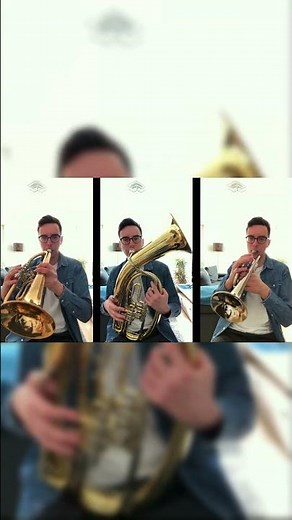 Böhmischer Traum Trio #blasmusik #polka #böhmisch #volksmusik #tradition #trompete #bariton
