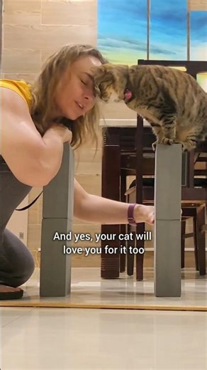 Proof Cats LOVE Training (Easy Jump Trick Tutorial)