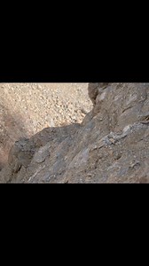 1M views · 4K reactions | Find the Snow Leopard if you can !...