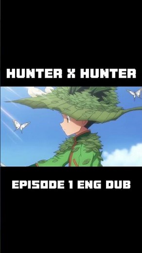 hunter x hunter episode 1 (english)