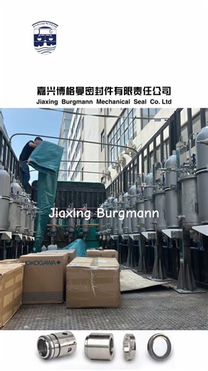 58B system use with mechanical seal #mechanicalseal