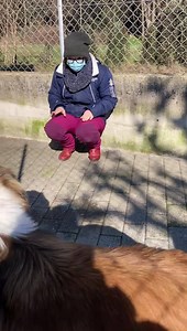 25K views · 2.9K reactions | ADOTTATO Semplicemente Lucino......