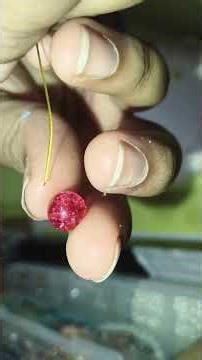 this is how I make a flower keychain 🌼🌻