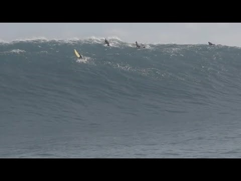 Flick Palmateer Takes On Big Cow Bombie