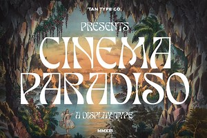 TAN - PARADISO, a Font by TanType