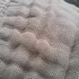 Hooded Baby Towels for Newborn - 2 Pack, 100% Muslin Cotton, Baby Bath Towels with Hood, Soft and Absorbent for Boys, Girls Infant, Toddler and Kids, Large 32x32 Inches, Newborn Essential