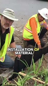 Century Root Barrier Installation | Stop Tree Roots from Damaging Concrete & Foundations