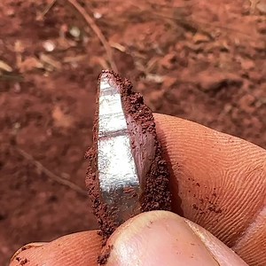 78K views · 4.7K reactions | Ruby & Sapphire Digging in a North Carolina BACKYARD!!! Whaaaaaaaaat  | The Crystal Collector | Facebook