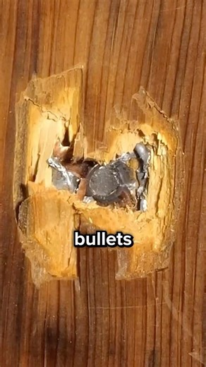 This Wood Is Bulletproof