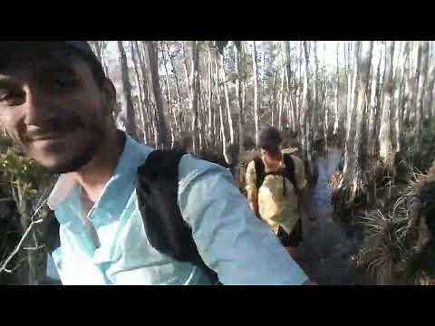 Florida Trail - 30 miles of Big Cypress