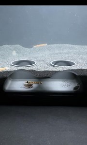 1K views | Checkout this cool aquarium cave! Our bottom dwelling fish love to hangout in here. The best part about it is I can see them during the day but they still feel safe. #aquarium #aquariumfish #aquariums #aquariumhobby #aquariumcheck #aquariumsoftiktok #aquariumlife #fishtank #fishtanklife #fishtanksoftiktok #fishtankdecor #aquascape #aquascaper #corydoras #kuhliloach #dwarffrog | Aqua Scaping | Facebook