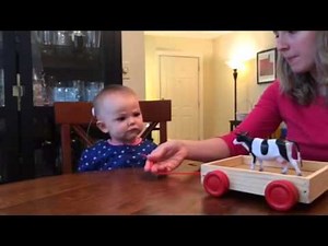 Fiona Auditory Verbal Therapy