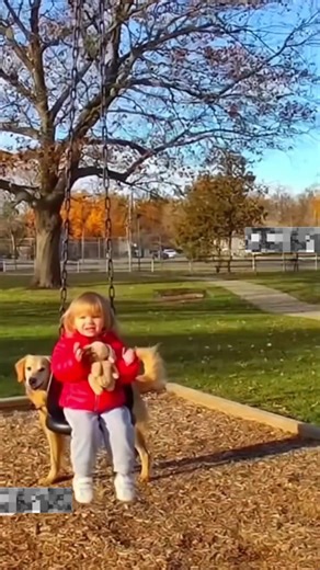 Eagle attack on girl #usa #Amazing #viral #shorts | The Magic Moment