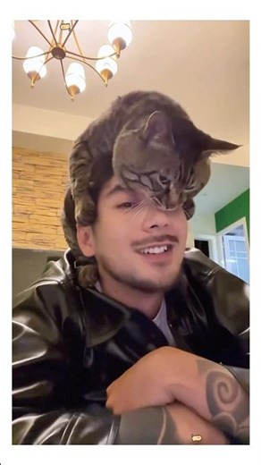 Overacting Cats 😂🐈😂