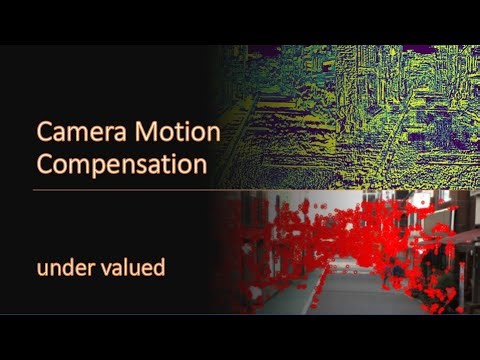 Camera Motion Compensation