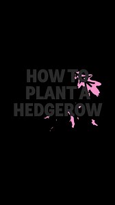 20 reactions | Planting trees or hedgerows in your garden or on your land? Get expert advice, guidance and support from the Woodland Trust. | The Woodland Trust | Facebook