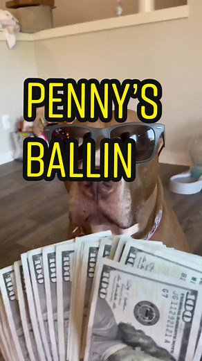 Penny’s Ball Blast Fun Games and Real Prizes