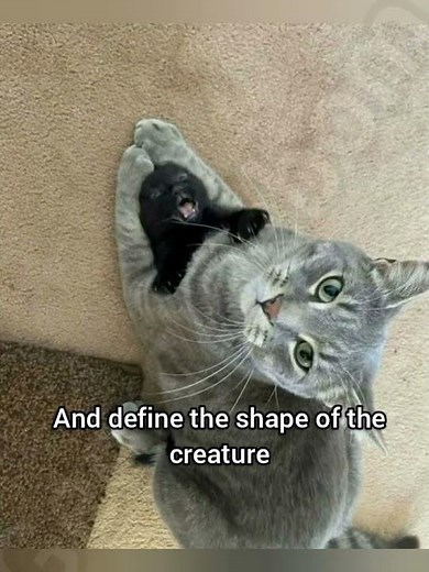 How to draw Evil Larry #fyp #cat #funny #memes #georgieebom