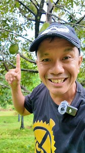 Kenapa dinamai Durian Chanee ?. #delongan | Topan Adriansyah