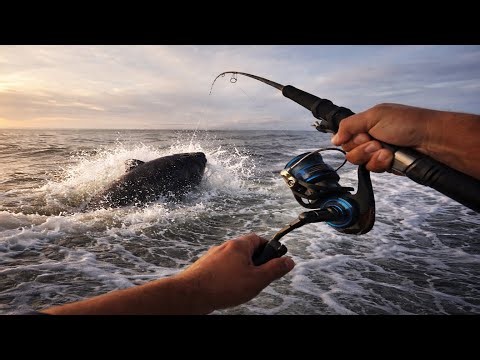 Whipping For Akule Gone Wrong! Ulua Came Fo Sampo #shorts