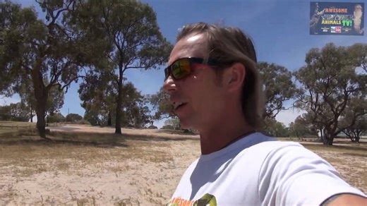 Stung by a bullet ant | Does this really hurt?