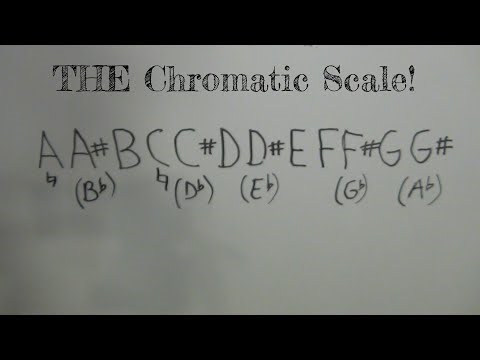G005 Understanding Flat and Sharp and How To Adjust Your Strings | Homeschoolers Music Lessons
