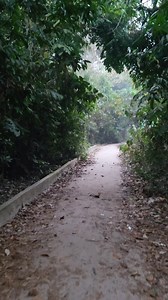 70K views · 3.2K reactions | খুব সকালে কিসের খোঁজে বের হলাম | Abdullah Al Mamun | Facebook