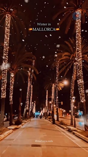 Mallorca Reels | Vacation & Holiday Tips | Island Guide on Instagram: "This is . . 👇🏼 . . 📍Palma, Mallorca 🇪🇸 ⭐️Find the best discounts island-wide for car/boat/yacht rentals & activities on our profile Palma de Mallorca becomes a true Christmas travel dream every winter, turning the historic city into a dazzling holiday wonderland filled with the most breathtaking decorations and festive lights that everyone wants to capture on social media. Wander through the heart of Palma around La Seu