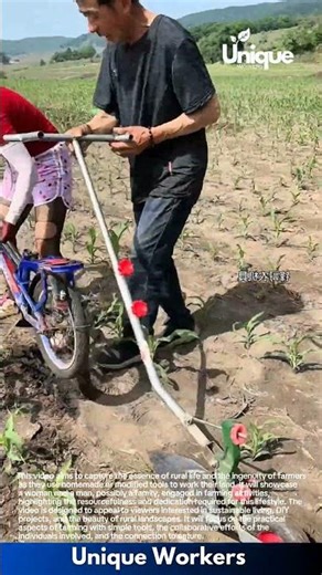 Manual Farming Tool in Action: Farmer Uses Hand Weeder to Loosen Soil