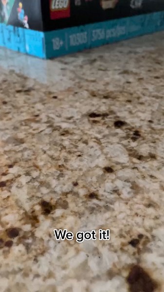 Building a LEGO Loop Coaster: Step by Step Guide