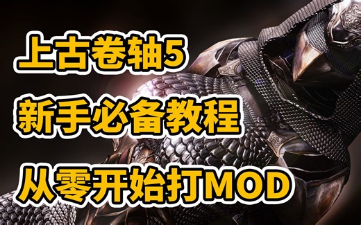 【上古卷轴5 -22年教程】萌新也能看懂的从零开始打MOD教程