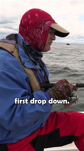 Tiny minnow perch catch!