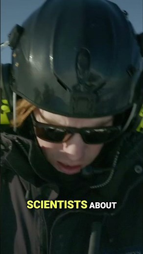 Did you know scientists can track Arctic fox populations through DNA in their droppings? ❄️🧬