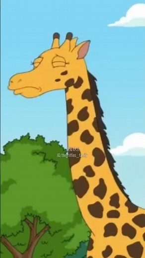 Family Guy - Quagmire and giraffe