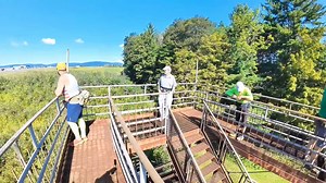 Looking for a short fun family friendly hike? In Pittsfield, Wild Acres has trails, about a mile of them, amd a fire tower you can climb. From the top you get a view of the marsh, the back of Bousquet Mountain Ski area, and Pittsfield Municipal Airport where you can watch the activity at the airfield. Access to parking is off of South Mountain Road in Pittsfield. @followers #hikethehilltownhistory #hikethehilltowns with the #westernmasshilltownhikers #discoverthehilltowns #visitthehills #hilltow