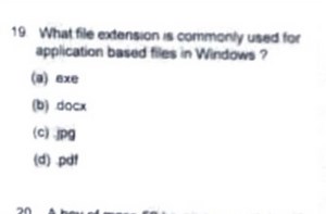 19 What file extension is commonly used for application based f... | Filo