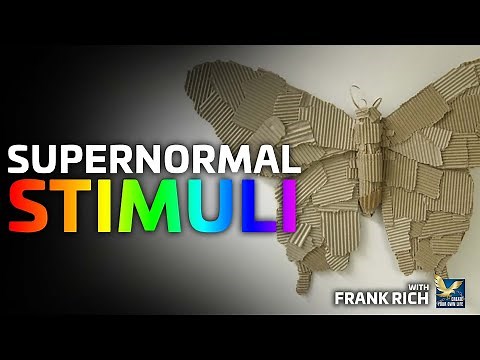 Uncovering the Science Behind Supernormal Stimuli with Coach Frank Rich...