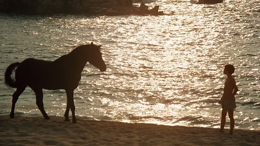 The Black Stallion (1979) (1080p)🌻 Movies